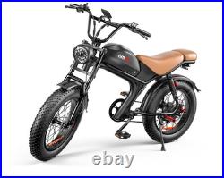 1000W Motor 48V20AH Motorcycle E-bicycle 204.0 Fat Tire Off-Road Electric Bike