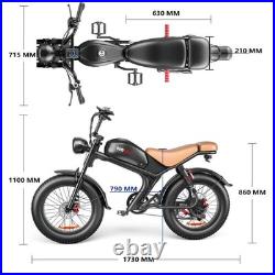1000W Motor 48V20AH Motorcycle E-bicycle 204.0 Fat Tire Off-Road Electric Bike
