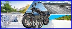 1000W Motor 48V20AH Motorcycle E-bicycle 204.0 Fat Tire Off-Road Electric Bike