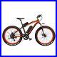 1000w_electric_bike_Mountain_Bike_Fat_Tires_Powerful_Electric_Motor_Disc_Brakes_01_sjy