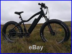 1200W / Electric Bike 4 Fat Tyre Mountain bike 48V E-Bike UK 17.4 ah LG