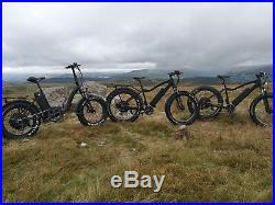 1200W / Electric Bike 4 Fat Tyre Mountain bike 48V E-Bike UK 17.4 ah LG