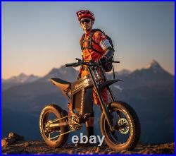 20'' Electric Motorbike 60V 30Ah E-BIke Hydraulic Brakes Off-Road Mountain Bike