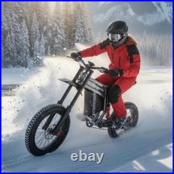 20'' Electric Motorbike 60V 30Ah E-BIke Hydraulic Brakes Off-Road Mountain Bike