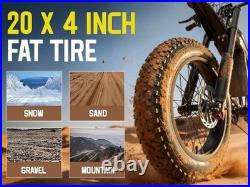 20'' Electric Motorbike 60V 30Ah E-BIke Hydraulic Brakes Off-Road Mountain Bike