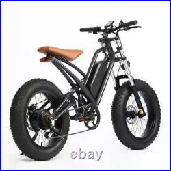 20 in Fat Tire Electric Bike Mountain Travel Bicycle 48V 750W Motor Snow E-Bike