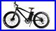 21_Electric_bike_EBike_mountain_250W_36V_10Ah_Lithium_battery_27_Fat_tyre_SALE_01_ikc