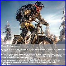 26'' E-Bike Fat Tyre Electric Bike 48V 840WH Off-Road E-Mountain Bike Hydraulic