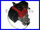 2_Stroke_Gas_Scooter_Moped_Bike_49cc_Engine_Motor_w_Transmission_Electric_Start_01_itkm