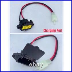 350W Electric Bicycle Bike Conversion Kits 24V36V E-Bike Brush Motor WithFreewheel