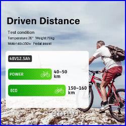 48V13Ah Downtube Electric Bike Battery for 250w-500w Motor with USB Charge Port