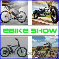 48V 15Ah 250W 500W 1000W Hailong Li-oin Battery Electric Bike Downtube Battery