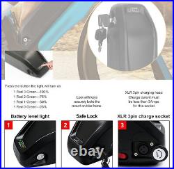 48V 15Ah Hailong3 e-bike Lithuim Battery Electric Bicycle Motor 1000W Downtube