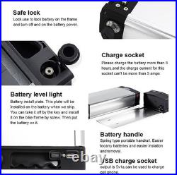 48V 20AH E-bike Lithium Battery For 02000W Electric Bike Motor with Rear Rack