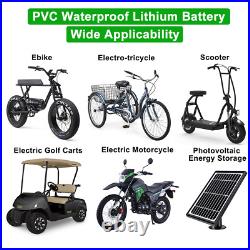 48V 20Ah 1000W 1500W Motor Lithium Ion Ebike Battery Electric Bike Ebike Battery