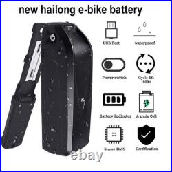 48V 20Ah Hailong Li-ion Ebike battery Electric bike Battery 0-1500W Motor