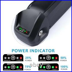 48V 20Ah Hailong Li-ion Ebike battery Electric bike Battery 0-1500W Motor