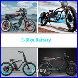 48V 20Ah Hailong Li-ion Ebike battery Electric bike Battery 0-1500W Motor