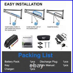 48V 20Ah Hailong Li-ion Ebike battery Electric bike Battery 0-1500W Motor