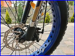 48V 500W rear Hub motor / Fat tire electric mountain bike Ebike