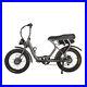 500_W_Chopster_Serenity_Ariel_rider_electric_bike_rear_hub_motor_01_oged