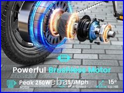 Adult Gift Pick RA Folding Electric City Bike with 250W Motor &36V 7.8Ah Battery