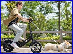 Adult Gift Pick RA Folding Electric City Bike with 250W Motor &36V 7.8Ah Battery