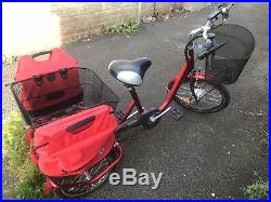 Adult tricycle with electric motor