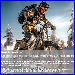 Adults 26 Dual Motor Fat Tyre E-Bike 48V 17.5Ah Off-Road Electric Bicycle MTB