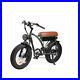 Bezior_XF001_Electric_Bicycle_E_Bike_1000W_Motor_20_Wheel_45KM_Range_5_Meter_01_ow