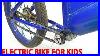 Build_Electric_Bike_For_Kids_With_775_Reducer_Motor_01_aq