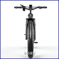 Cheevalry 48V 23Ah Electric Dirt Bicycle Dual Motor E-bike 130KM E-MountainBike