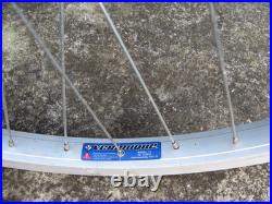 Currie XYD-16 Electric Motor Electric Bike Wheel 26 Chain 0.45 kilowatts