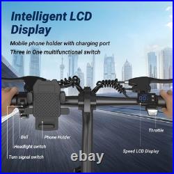 EB60P Adult Ebike 250W Foldable 48V 15.6AH Electric Bicycle 15MPH 38Miles