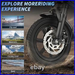 EB60P Adult Ebike 250W Foldable 48V 15.6AH Electric Bicycle 15MPH 38Miles