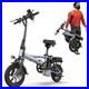 EB60P_Electric_Bike_250W_48V_15_6Ah_Folding_Electric_Bicycle_for_Adult_38miles_01_abow