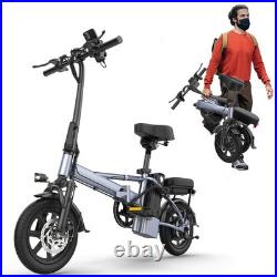 EB60P Electric Bike 250W 48V 15.6Ah Folding Electric Bicycle for Adult 38miles