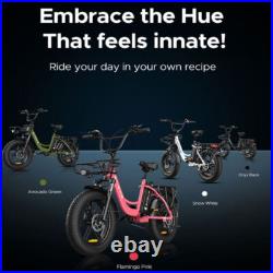 ENGWE L20 250W Motor Electric Bicycle Max Speed 25KM/H 140KM Range 7 Speed