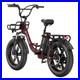 ENGWE_L20_BOOST_E_Bike_Electric_Bike_Mountain_Bike_250W_Motor_48V_13AH_E_Bike_01_hmk