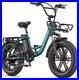 ENGWE_L20_Boost_Electric_Bike_250W_Motor_48V_13AH_20_Shimano_7_Gears_e_bike_01_ku