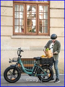 ENGWE L20 Boost Electric Bike 250W Motor 48V 13AH 20'' Shimano 7 Gears e bike