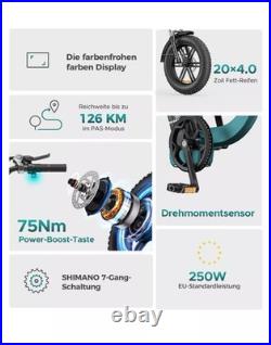 ENGWE L20 Boost Electric Bike 250W Motor 48V 13AH 20'' Shimano 7 Gears e bike