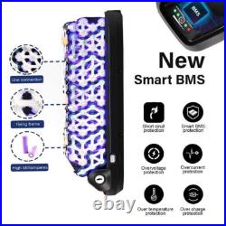 Ebike Battery 52V 48V 15Ah 750W 1000W Hailong Electric Bike Battery for bafang