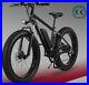 Electric_Bicycle_Snow_Fat_Tyre_EBike_500W_48V_12Ah_01_jm