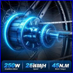 Electric Bike 250W Motor 36V 15Ah Battery 26 inch Tires 25km/h TWOFISH TF-1 Electric Bike 250W Motor 36V 15Ah Battery 26 inch Tires 25km/h TWOFISH TF-1