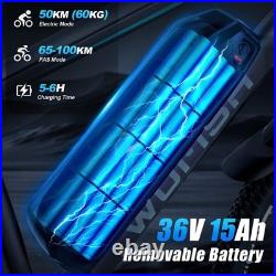 Electric Bike 250W Motor 36V 15Ah Battery 26 inch Tires 25km/h TWOFISH TF-1 Electric Bike 250W Motor 36V 15Ah Battery 26 inch Tires 25km/h TWOFISH TF-1