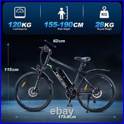 Electric Bike 250W Motor 36V 15Ah Battery 26 inch Tires 25km/h TWOFISH TF-1 Electric Bike 250W Motor 36V 15Ah Battery 26 inch Tires 25km/h TWOFISH TF-1