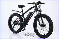 Electric Bike 500W 48V Motor 10AH Battery