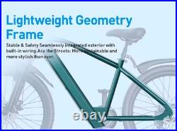 Electric Bike 540W Peak Power Brushless Motor 36V10AH Lithium Battery Electric B