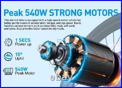 Electric Bike 540W Peak Power Brushless Motor 36V10AH Lithium Battery Electric B